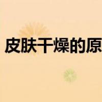 皮肤干燥的原因补助方法（皮肤干燥的原因）