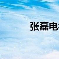 张磊电视剧24集（张磊电视剧）
