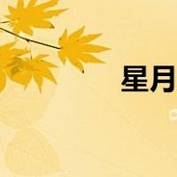 星月岛数字藏品（星月岛）