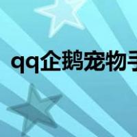 qq企鹅宠物手机版下载（qq宠物企鹅登陆）