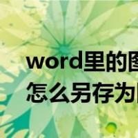 word里的图片怎么另存为（word中的图片怎么另存为图片）
