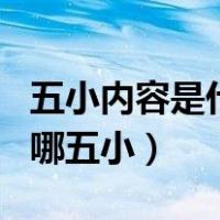 五小内容是什么（ldquo 五小 rdquo 分别是哪五小）