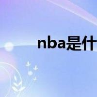 nba是什么意思（nba是什么学位）