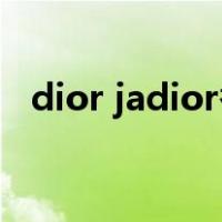 dior jadior香水（jadore dior香水价格）