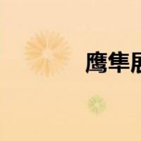 鹰隼展翼的读音（鹰隼展翼）