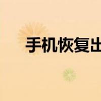 手机恢复出厂设置对手机有什么坏处嘛