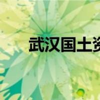武汉国土资源学院在哪里（武汉国土）