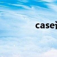 case语句c语言（case语句）