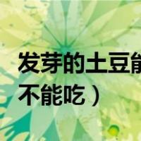 发芽的土豆能不能吃有没有毒（发芽的土豆能不能吃）