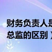 财务负责人是经理还是总监（财务经理与财务总监的区别）