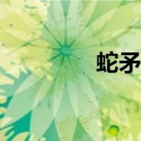 蛇矛斗罗魂技介绍（蛇矛）