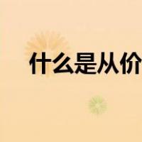 什么是从价税和从量税（什么是从价税）