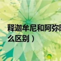 释迦牟尼和阿弥陀佛什么区别（释迦牟尼佛与阿弥陀佛有什么区别）