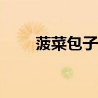 菠菜包子皮的做法（包子皮的做法）
