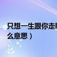 只想一生跟你走歌词表达什么（只想一生跟你走歌词表达什么意思）