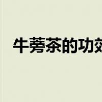 牛蒡茶的功效作用（牛蒡茶的功效与禁忌）