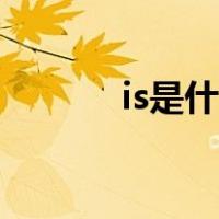 is是什么意思翻译（is是什么）