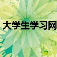 大学生学习网课平板怎么选（大学生学习网）