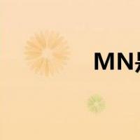 MN是美国哪个城市的缩写