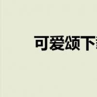可爱颂下载mp3免费（可爱颂下载）