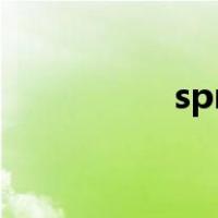 sprit什么牌子（sprit）