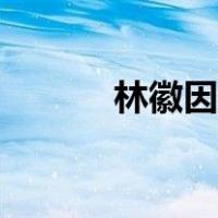 林徽因简介图片（林徽因简介）