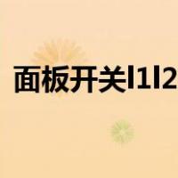 面板开关l1l2l3和l1都代表什么（面板开关）