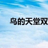 鸟的天堂双引号的作用（双引号的作用）