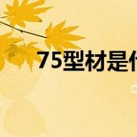 75型材是什么意思（型材是什么意思）