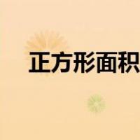 正方形面积怎么算（正方形面积怎么算）