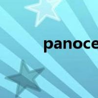 panocean airline（panocean）