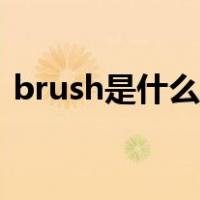 brush是什么意思英语（brush是什么意思）