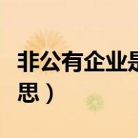 非公有企业是什么意思（非公有企业是什么意思）