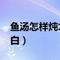鱼汤怎样炖才白?掌握这个诀窍（鱼汤怎么炖白）
