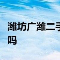 潍坊广潍二手车交易市场有二手汽车检测机构吗