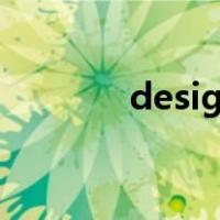 designationdn1是什么牌子