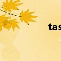 task什么意思（tasks）