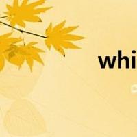 whitelinefila是什么牌子