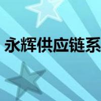 永辉供应链系统登录（永辉供应商系统登录）