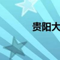 贵阳大学是985吗（贵阳大学）