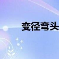 变径弯头规格型号（变径弯头画法）
