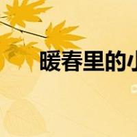 暖春里的小花老公是谁（早春小老婆）