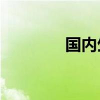 国内生产总值的含义是什么