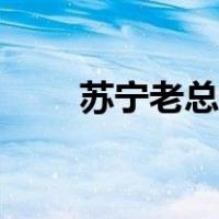 苏宁老总老婆打江疏影（苏宁老总）