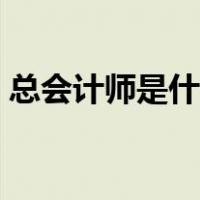 总会计师是什么职务（总会计师是什么职务）