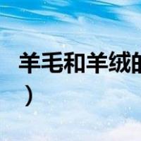 羊毛和羊绒的区别哪个贵（羊毛和羊绒的区别）