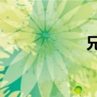 兄弟姐妹禁忌文本集