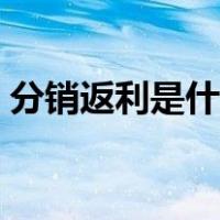 分销返利是什么意思（平销返利是什么意思）