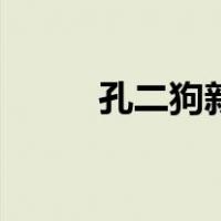 孔二狗新作品（孔二狗作品全集）