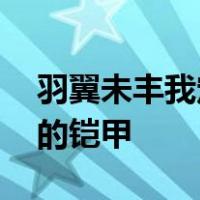 羽翼未丰我定护你周全,等你长大以后定是我的铠甲